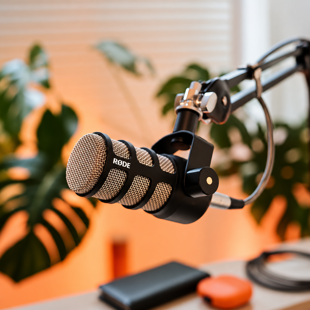 Professional Audio